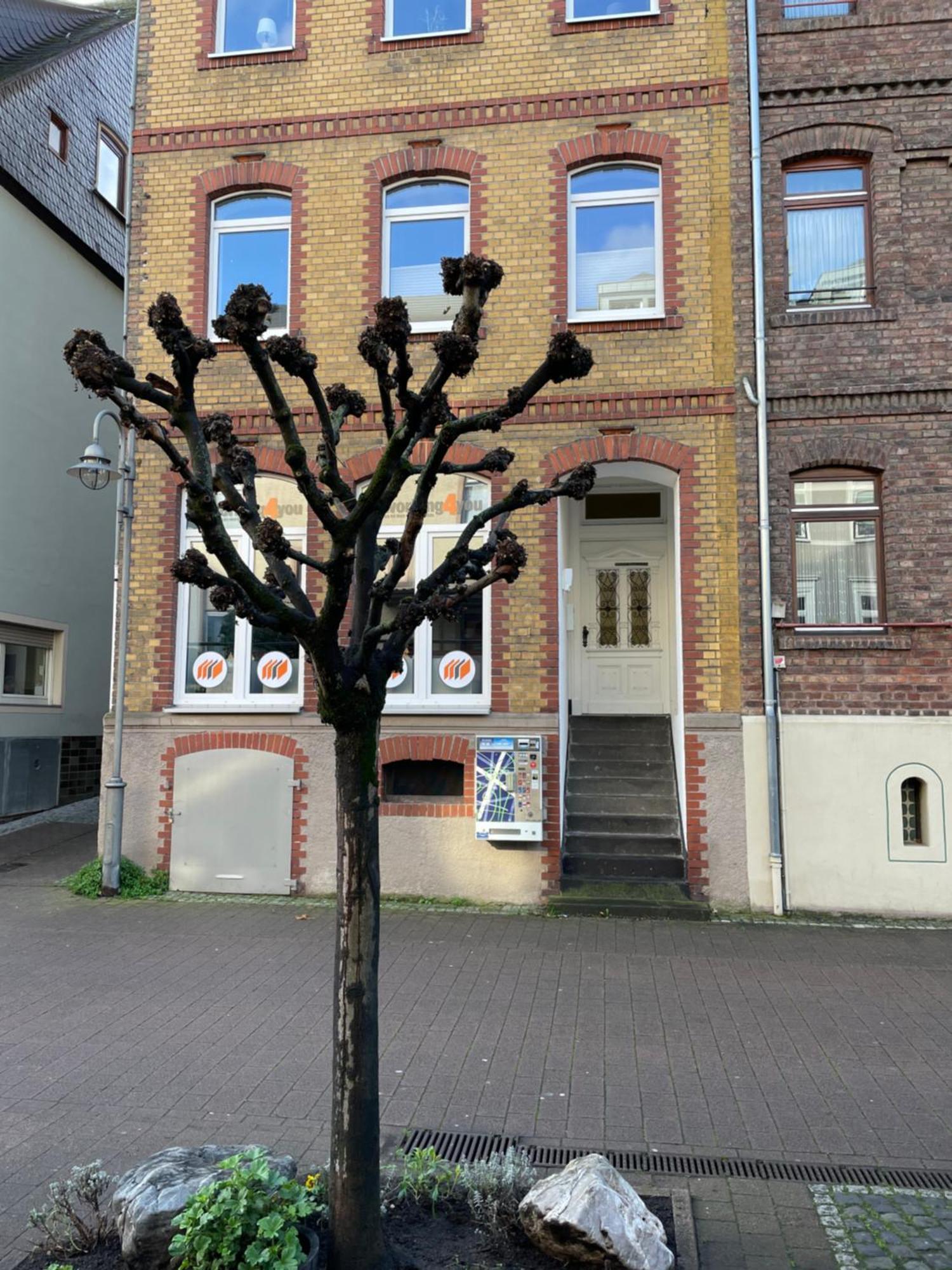 Apartamento Good Times In St. Goar Sankt Goar Exterior foto